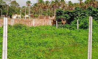 Imagem 3: Ótimo terreno 10x20m