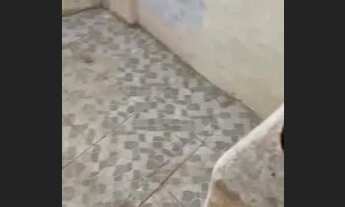 Imagem: Terreno com 3 comodos tem laje, aceito