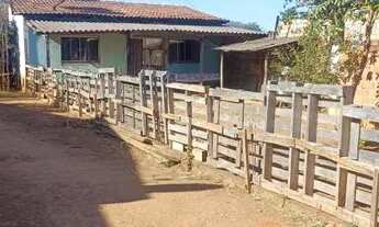 Imagem 6: Ótimo lote com barracões