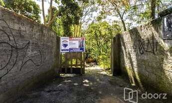 Imagem 3: SãO PAULO - Terreno Padrão - Horto Florestal