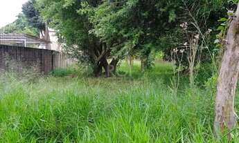 Imagem 4: Terreno para Venda - 0m², 0 dormitórios, Tristeza