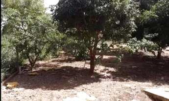 Imagem 2: VENDE-SE CHÁCARA COMPLETA PREÇO DE OPORTUNIDADE ACEITO CARRO OU CASA