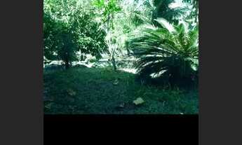 Imagem 6: Sítio 4200m², planotodo murado