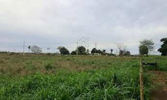 Imagem 2: Terreno Área em Pedranópolis