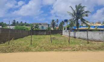 Imagem 2: 02 Terrenos em Ponta de Mangue
