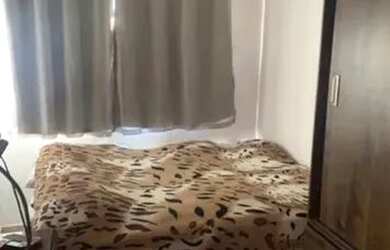 Imagem 6: Casa 2/4 Simões filho