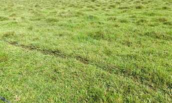 Imagem: LL-vendo terreno 600m² em promoção!!!