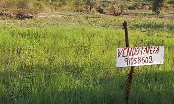 Imagem: Tarefas de terra