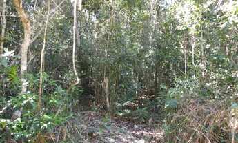 Imagem 2: Fazenda 800 hectares