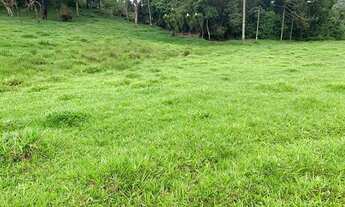 Imagem 4: LP - Terreno com vista privilegiada