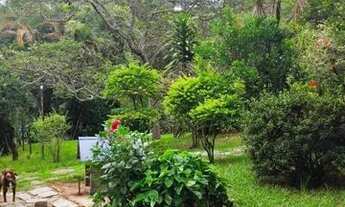 Imagem 6: Vendo fazendinha em Betim