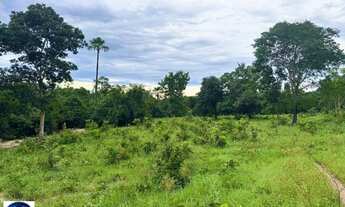 Imagem 7: Fazenda à Venda em Crixás - GO