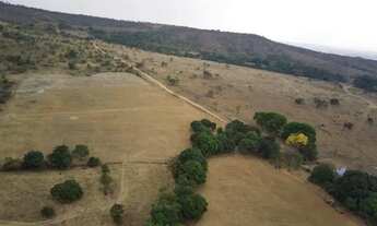 Imagem 7: Fazenda a venda em Cocalzinho / Girassol - Goiás!