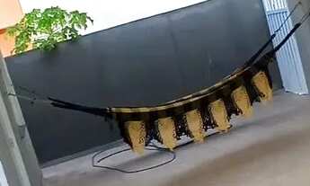 Imagem 7: CASA NA CAUEIRA PARA TEMPORADA