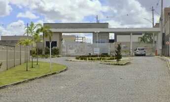 Imagem 7: Alugo casa no Riviera