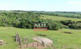 Imagem 5: Chácara de 15,5 alqueires (75 hectares) em Parauna - GO