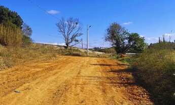 Imagem 6: Lote com Ótimo Espaço