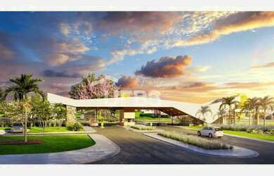 Imagem: OPORTUNIDADE VINHAS FLAMBOYANT