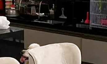 Imagem 3: Casa térrea com piscina em terreno de 1.000 m²