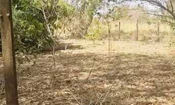 Imagem 5: Imóvel para venda tem 7000 metros quadrados com 3 quartos em Setor Central - Aragoiânia