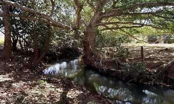 Imagem 3: Chácara em Uruita Chácara à Venda, 12450.00 por R$ 895500.00 IN32266