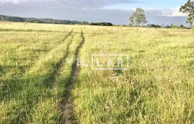 Imagem 4: SITIO EM VIAMÃO