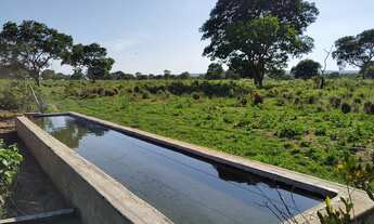 Imagem 5: Fazenda à venda de 497,00 Ha para Agricultura Irrigada Ibiaí - MG
