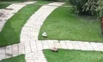 Imagem 2: VENDO LINDO SÍTIO EM MARECHAL DEODORO - AL