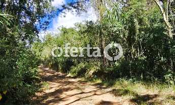 Imagem 7: Chácara em Contenda