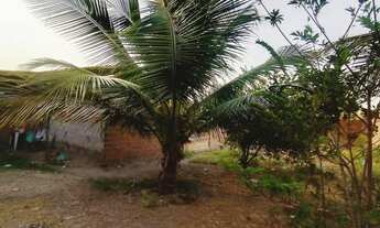 Imagem 5: Vende se casa com terreno grande