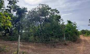 Imagem 3: Chácara 1000m², 300 metros da Rodovia, Energia, Arborizada, Dentro de Aragoiânia