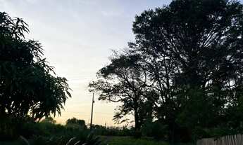 Imagem 2: Chácara à venda em Rorainópolis