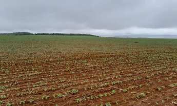 Imagem 3: Fazenda a venda São João da Aliança - Goiás!!!