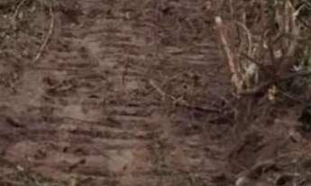 Imagem 3: Fazenda 3.750 hec em Lucialva MT. 200 hec abertos, 20 milhões