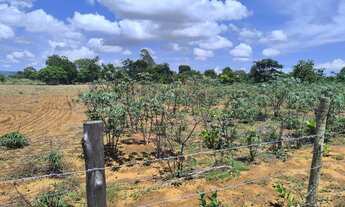 Imagem 7: Vendo ou troco chácara