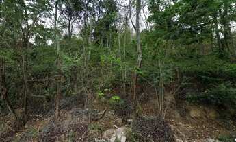 Imagem 2: Niteroi Serra Grande Terreno !5,00m X 50,00m aceita financiamento