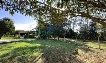 Imagem 6: Velleda oferece belo sítio de 10 hectares à venda