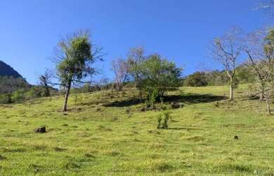 Imagem: Sítio em Morro Calçado - Morro Calçado
