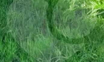 Imagem 2: Terreno à venda em Altos Do Jaraguá - SP