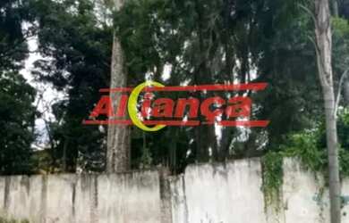 Imagem 3: Oportunidade para Investidores 3 mil Metros ! Vila Rosália!