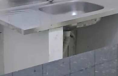 Imagem 2: Kitnets na BR sem burocracia