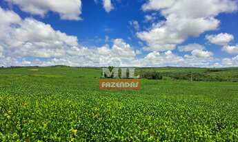 Imagem 5: Fazenda 33,5 alqueires (161 hectares) Ipameri - GO