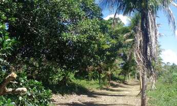 Imagem 4: Sítio em cachoeira Bahia