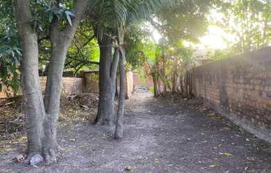 Imagem 3: Terreno em São Luiz