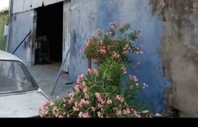 Imagem 4: Vendo barracão Casa com 1 dormitório