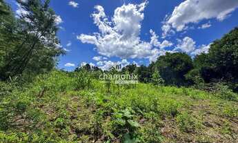 Imagem 3: Chácara com Vista para o Vale (5 hectares