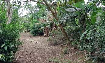 Imagem 6: Sitio de lazer casa madeira simples