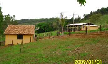 Imagem 3: Sítio à venda com 8 hectares - Rio Novo / MG