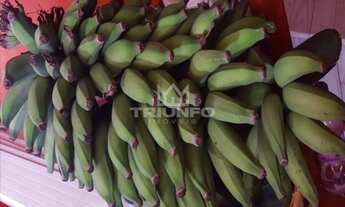 Imagem 2: Sítio.!! st446 Chácara com venda por R$169.000