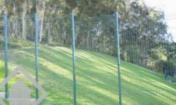 Imagem 5: PORTO ALEGRE - Terreno Padrão - Vila Nova